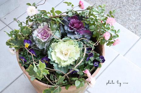 お正月の寄せ植え ミニ葉牡丹で洋風に おいしい きっかけ