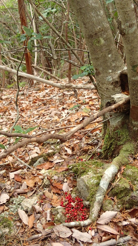 e0024081_19172523.jpg