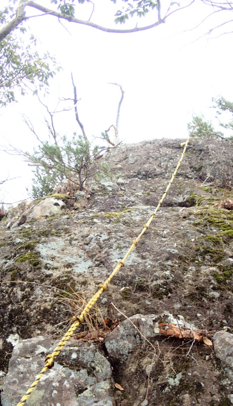 e0024081_19262827.jpg