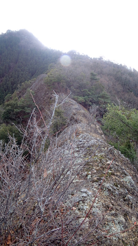 e0024081_19332479.jpg