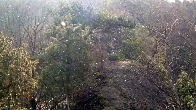 e0024081_19374871.jpg