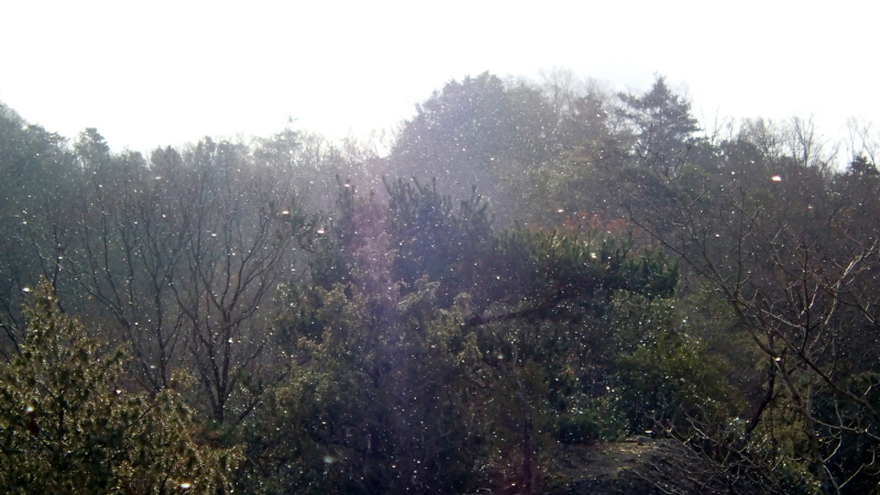e0024081_19380860.jpg
