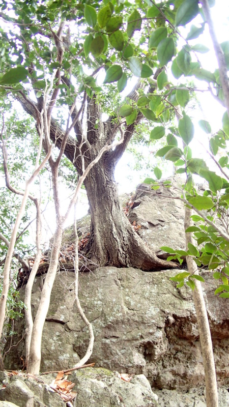 e0024081_19403054.jpg