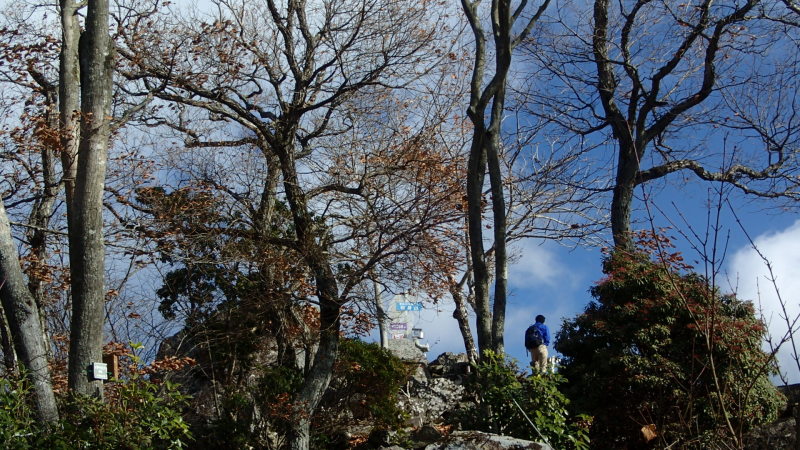 e0024081_19500016.jpg