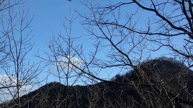 e0024081_19551709.jpg