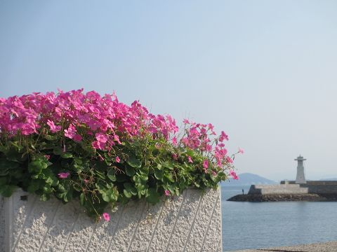 d0098183_1254525.jpg