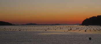 f0003283_22122929.jpg