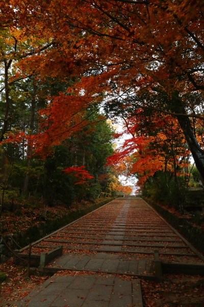 粟生光明寺_e0051888_23401711.jpg