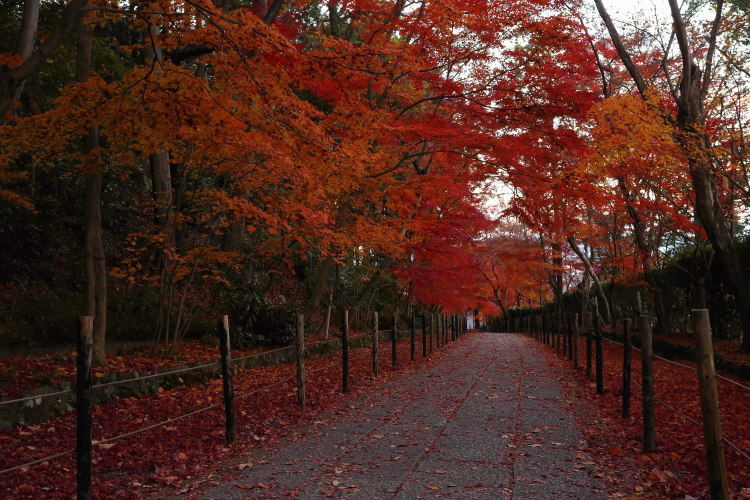 粟生光明寺_e0051888_23413920.jpg