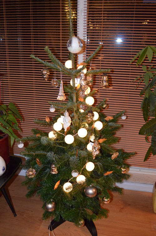 d0196594_17503556.jpg