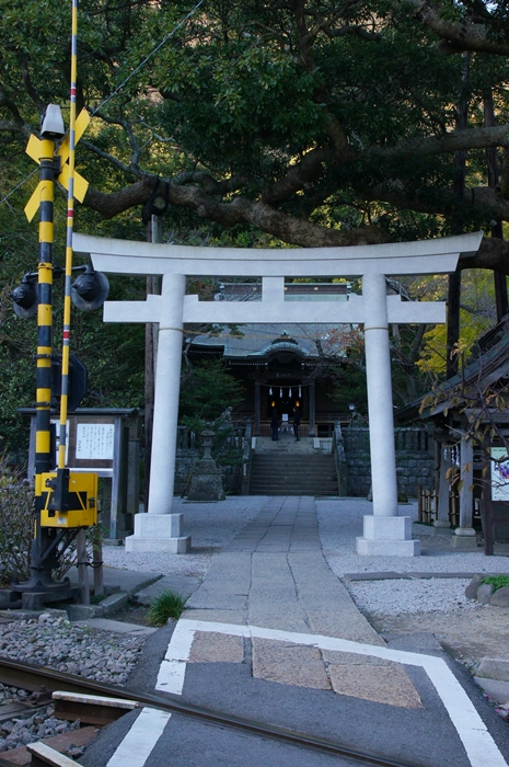 海蔵寺の紅葉 最後から二番目の恋のロケ地巡り_b0145398_1194881.jpg