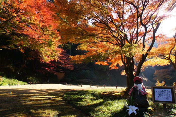 鎌倉 明月院の紅葉が見頃でした_b0145398_16332256.jpg