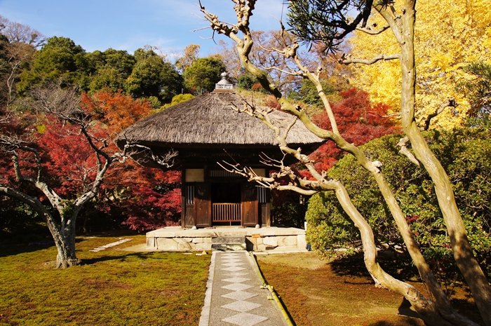 素晴らしい紅葉！　北鎌倉の長寿寺特別拝観_b0145398_1912379.jpg