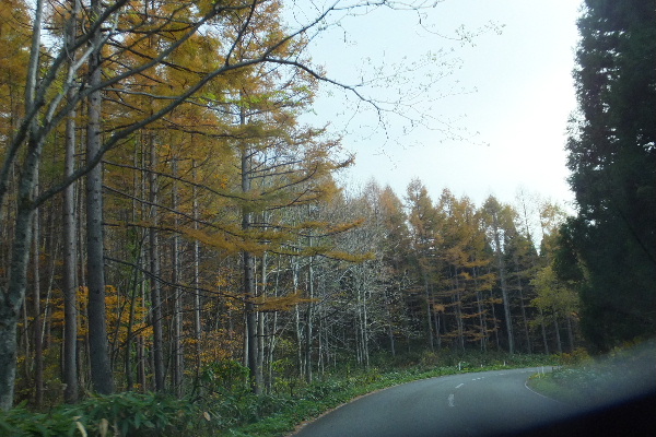 d0080998_00143234.jpg