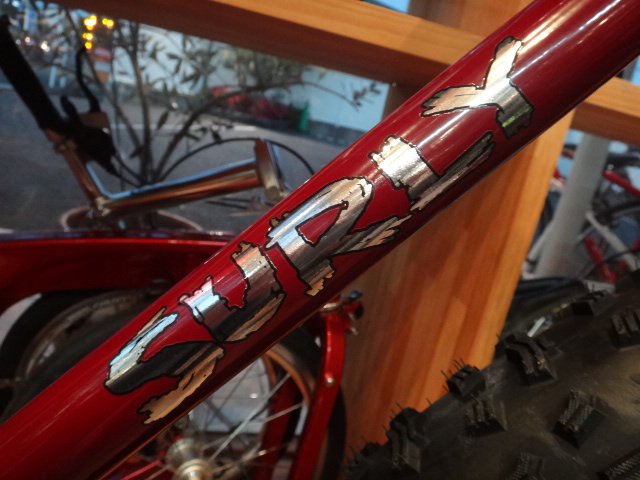 限定車_c0132901_18594712.jpg