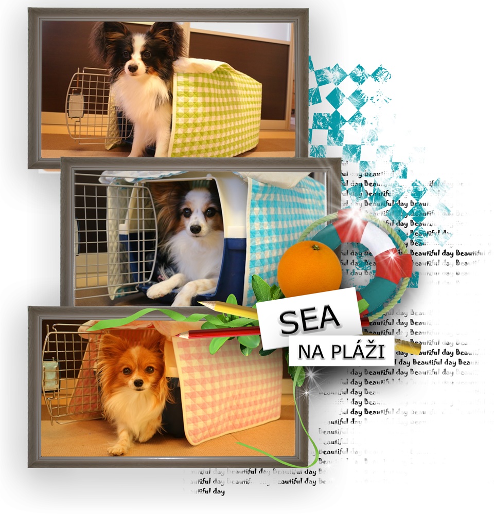 クレートカバー オーダー専用ページ モリーマット】クレートカバー・お