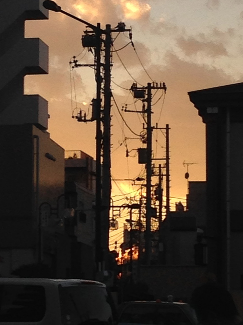 今週のお花とセール情報_a0200423_18334435.jpg