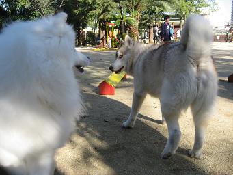 さむーい!!_b0177436_1332674.jpg