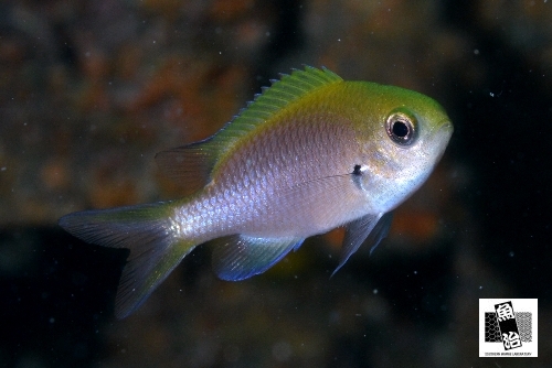 a0150039_2361890.jpg