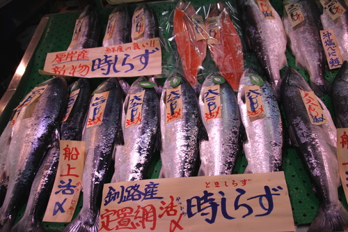 サケについて考えマス 12月14日_f0113639_16282528.jpg