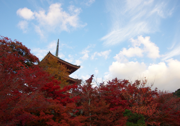 京都、清水寺にて・・・その4_b0242140_1025083.jpg