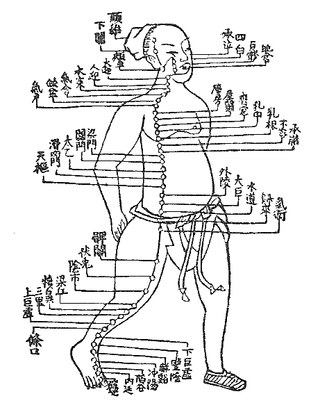 あなたの耳の痛みは腕から？ それとも胃から？〜ある日の施術より〜_e0073240_23111163.gif