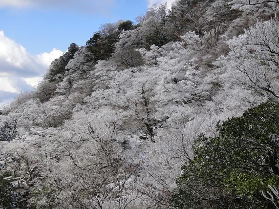 裏英彦山・鹿の角へ_e0164643_2042844.jpg