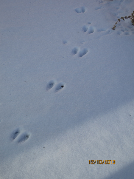 a0204348_23241960.jpg