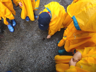 10月1週 秋を知る_e0256851_21533897.jpg