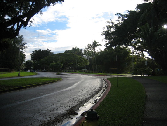 a0029254_2329266.jpg