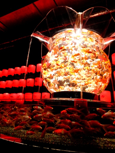 サッポロファクトリー アートアクアリウム展 札幌 金魚の灯 Lapilish S Peaceful Life サッポロファクトリー アートアクアリウム展 札幌 金魚の灯 Lapilish S Peaceful Life