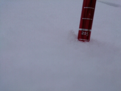 d0110562_20102779.jpg