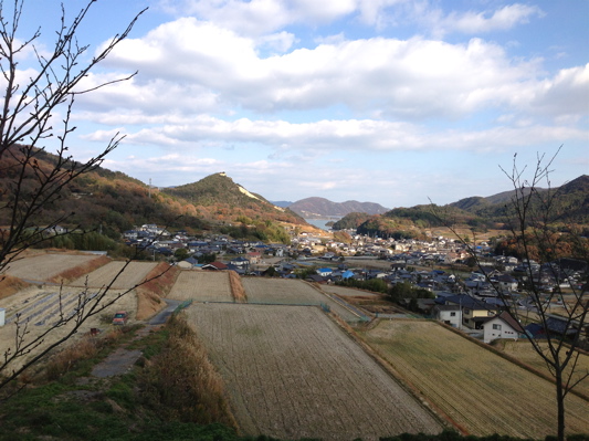 b0299869_2071034.jpg