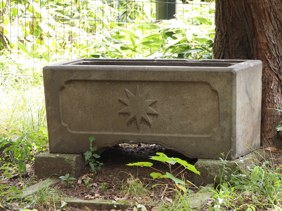 e0163471_168019.jpg