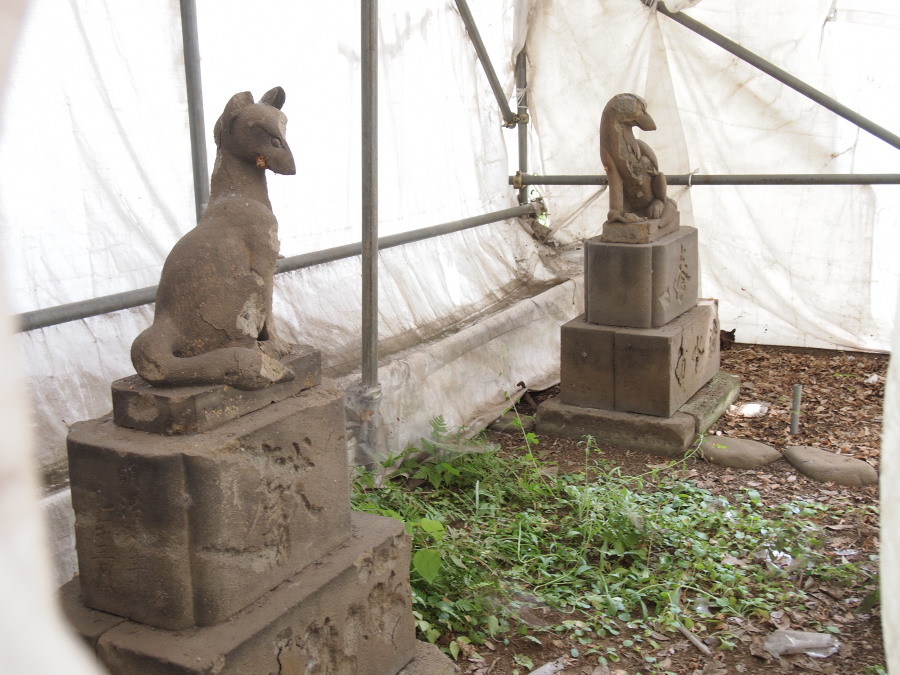 e0163471_1681661.jpg