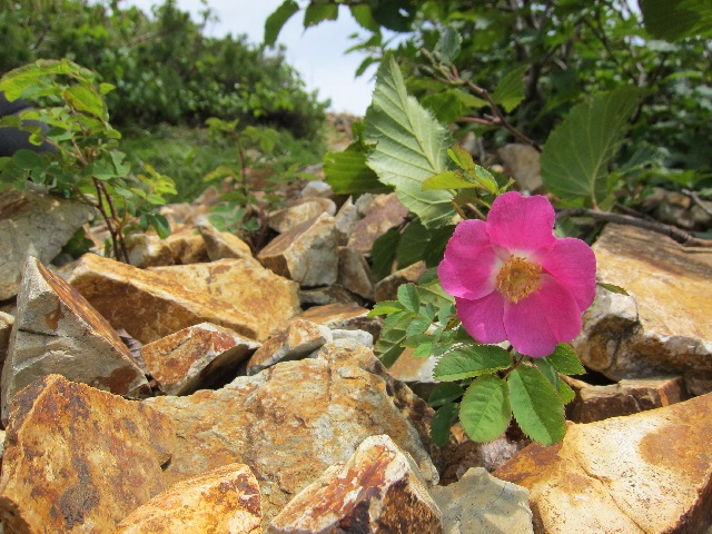 f0202271_01229.jpg