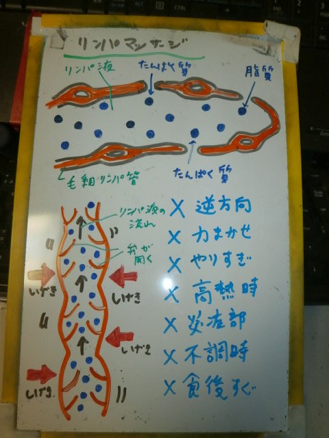 リンパマッサージの効果・基礎知識・注意点_f0115484_16493130.jpg