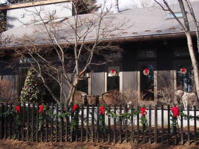 クリスマスデコレーション_d0133485_9285494.jpg