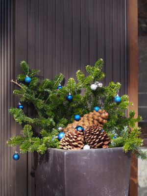 クリスマスデコレーション_d0133485_9512619.jpg