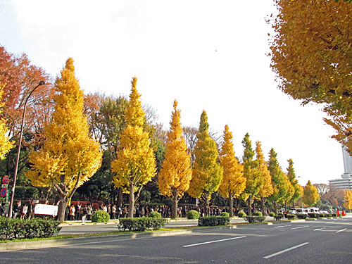 a0188487_8581463.jpg