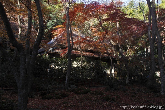 祇王寺・2013散紅葉_f0095094_22553776.jpg