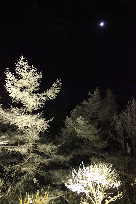 月夜の雪景色_e0120896_6571840.jpg