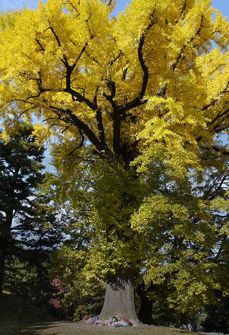 c0165301_5483757.jpg