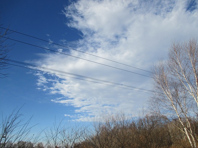 f0202703_7494671.jpg