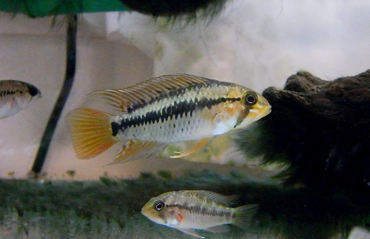 b0274808_1352380.jpg