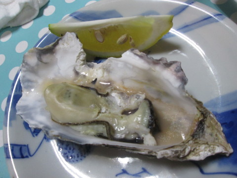 b0292308_22032915.jpg