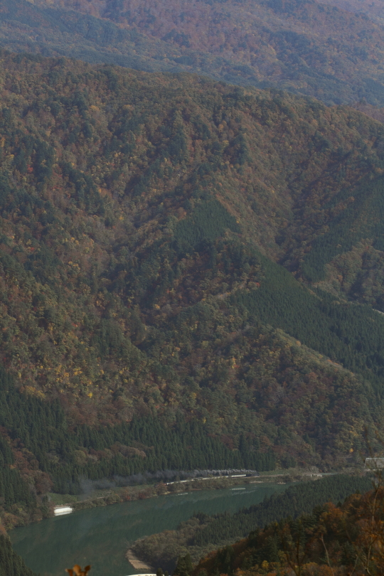 晩秋の阿賀野川 - 2013年紅葉の磐西 - _b0190710_22335769.jpg