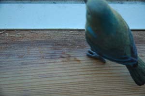 f0000211_20532656.jpg