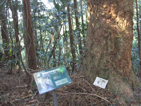 e0293913_20125080.jpg