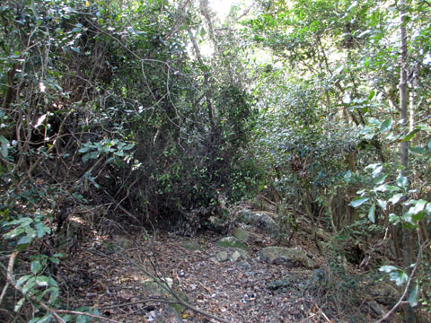e0293913_20152837.jpg